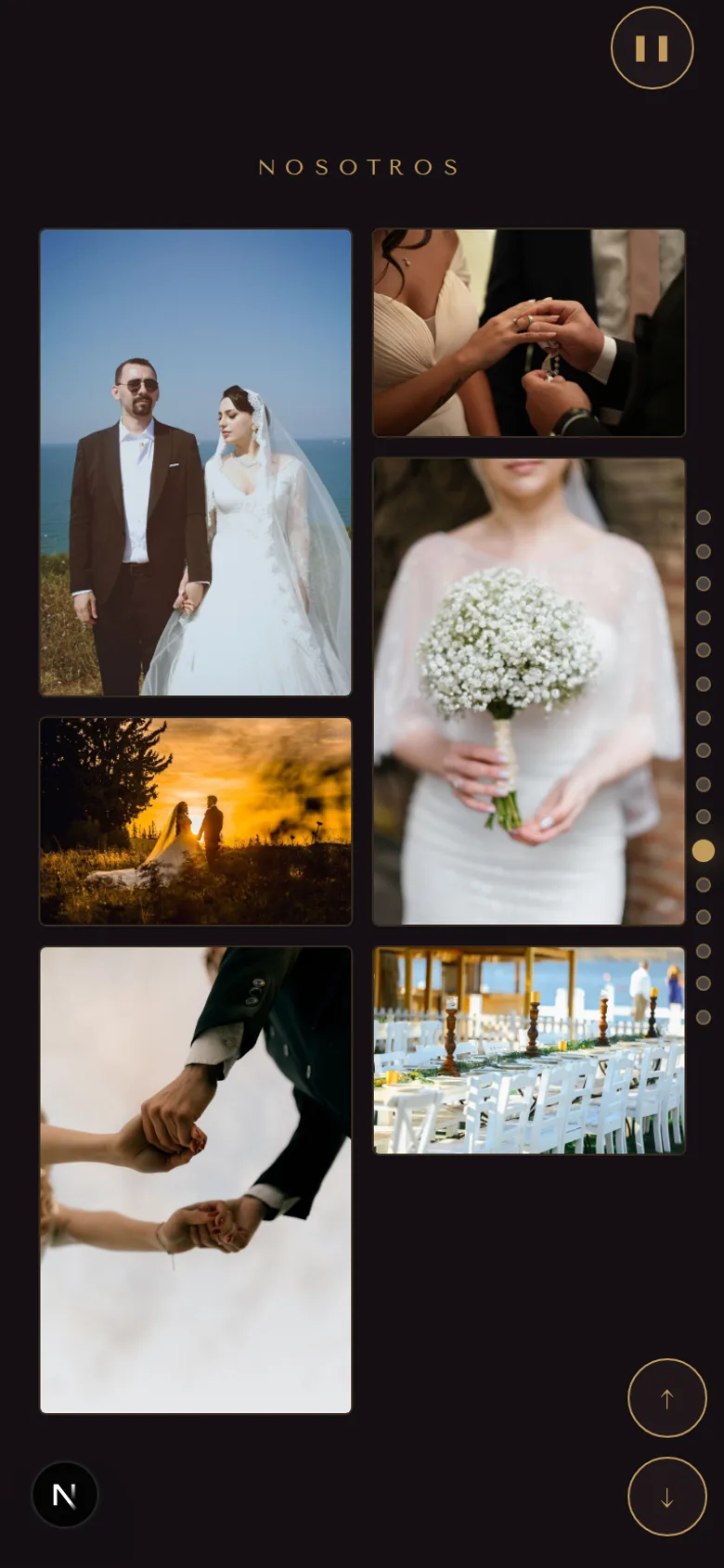 Galería de fotos de los novios